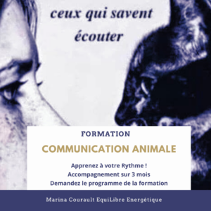 formation communication animale
