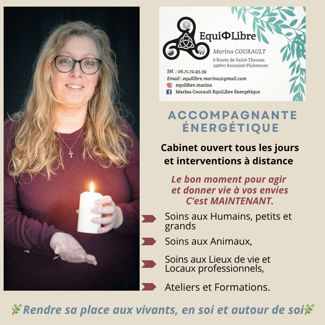 géobiologue, magnétiseur, émotions, vitalité physique, qi cleansing, feng shui, stress, angoisse, fatigue chronique, douleur, communication animale, nettoyage et soins énergétiques, brest, landerneau, lesneven, kersaint plabennec, morlaix, quimper, finistère, france, formation
