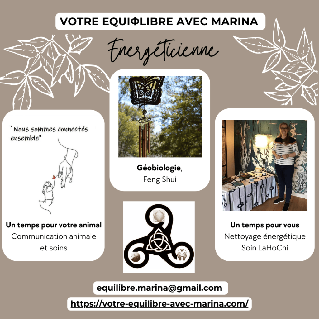 géobiologue, chamanisme, numérologie, magnétiseur, émotions, vitalité physique, stress, angoisse, fatigue chronique, retrouver force joie alignement, enfant intérieur